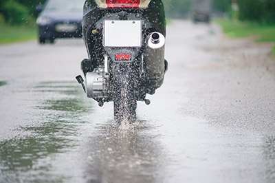 A photo of the rain pouring down on the cement in the foreground, with flora in the background.